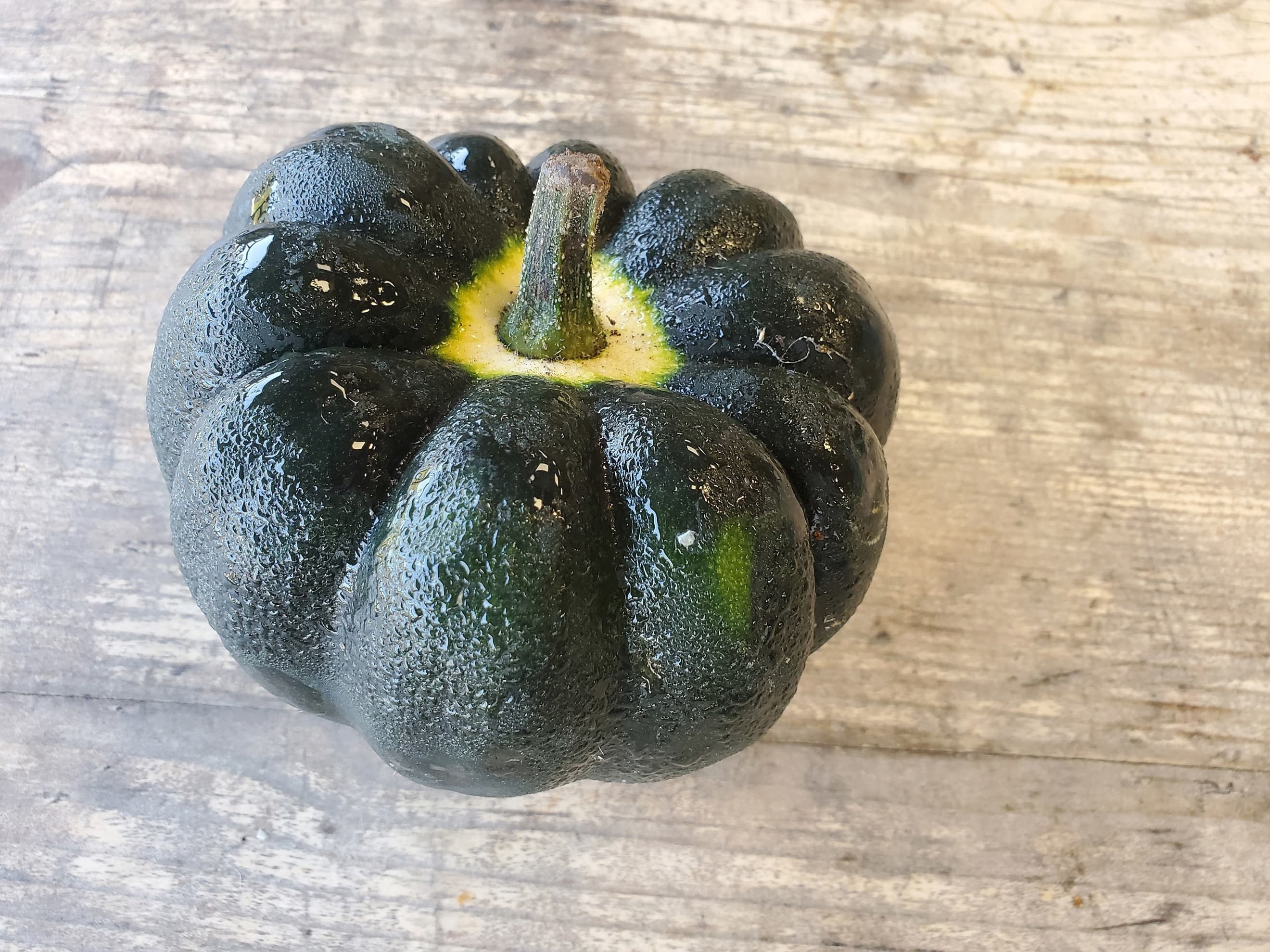 Squash - acorn (0.5 - 0.7kg)
