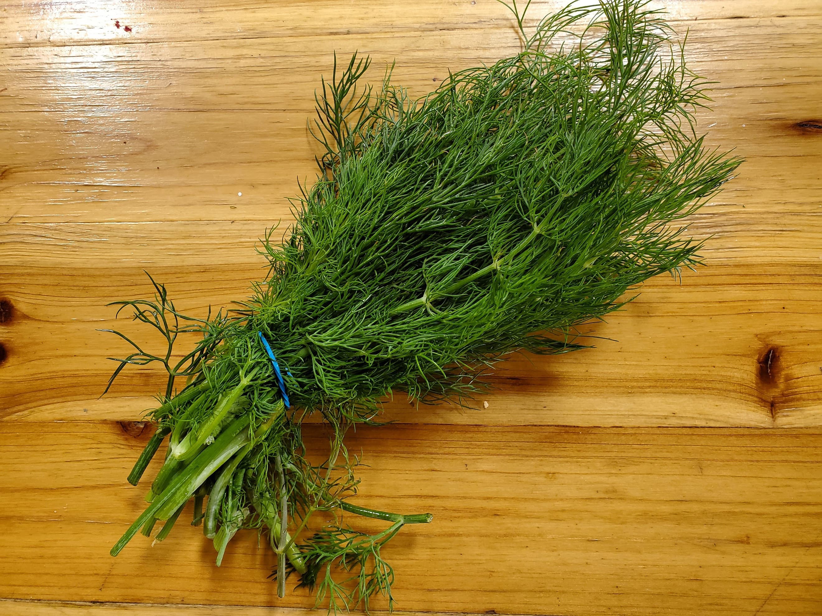 Dill