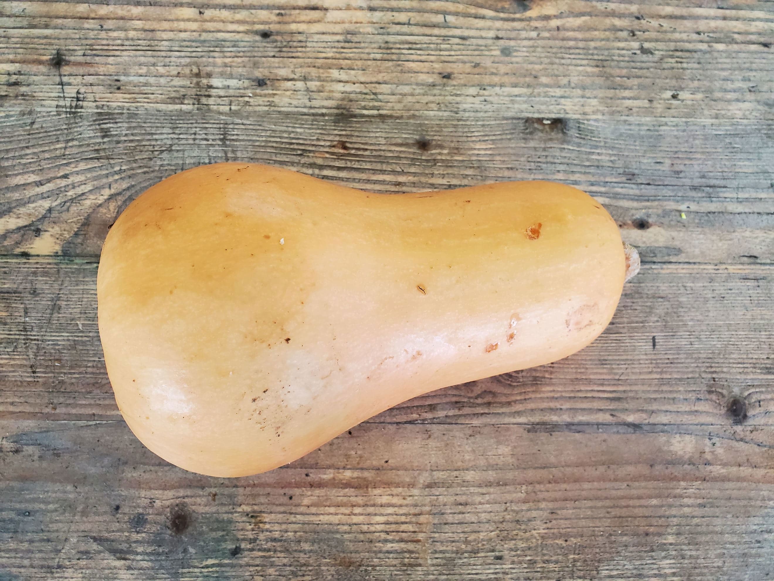 Squash - butternut (1 - 1.2kg)