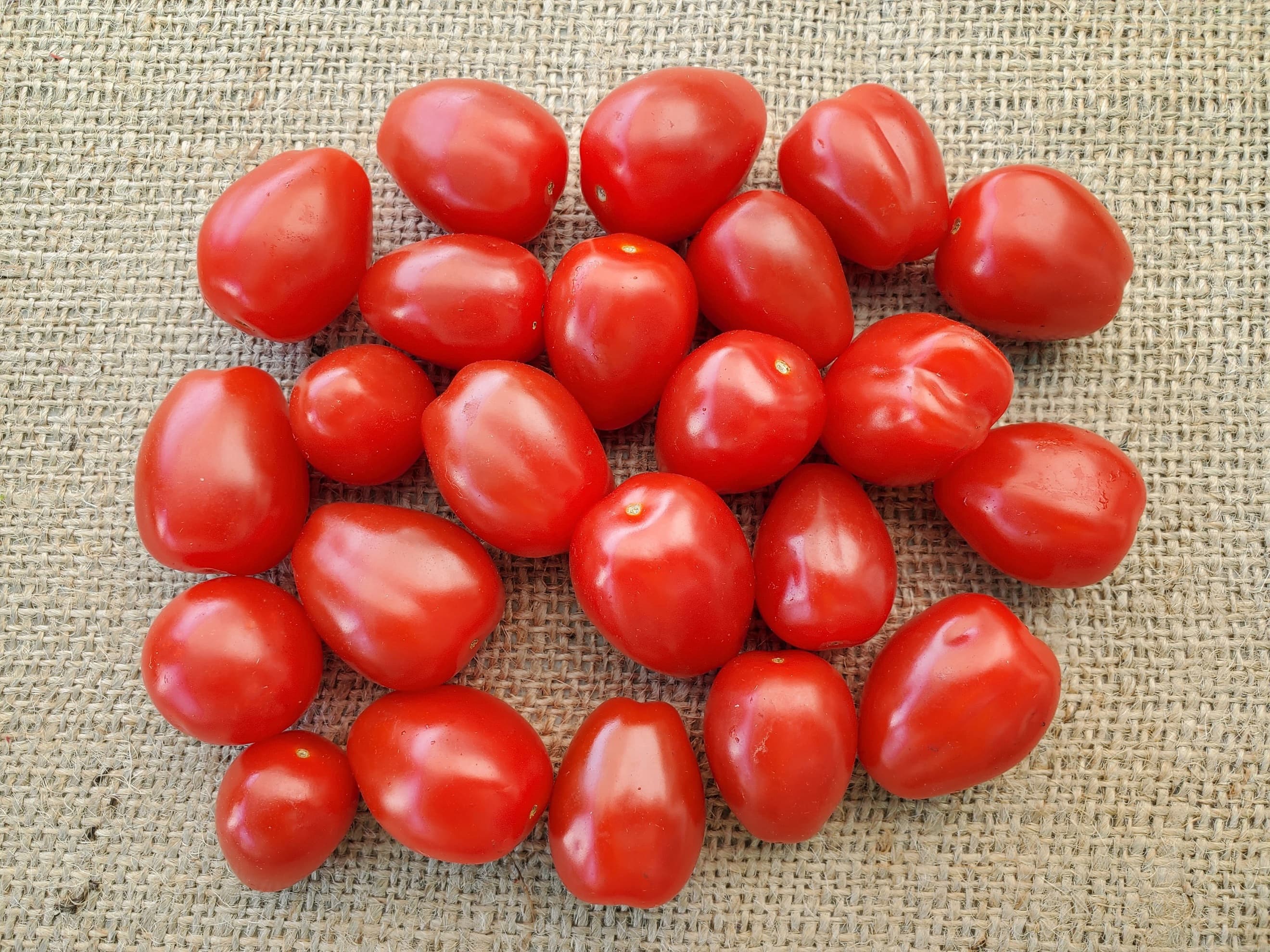 Tomatoes - baby plum