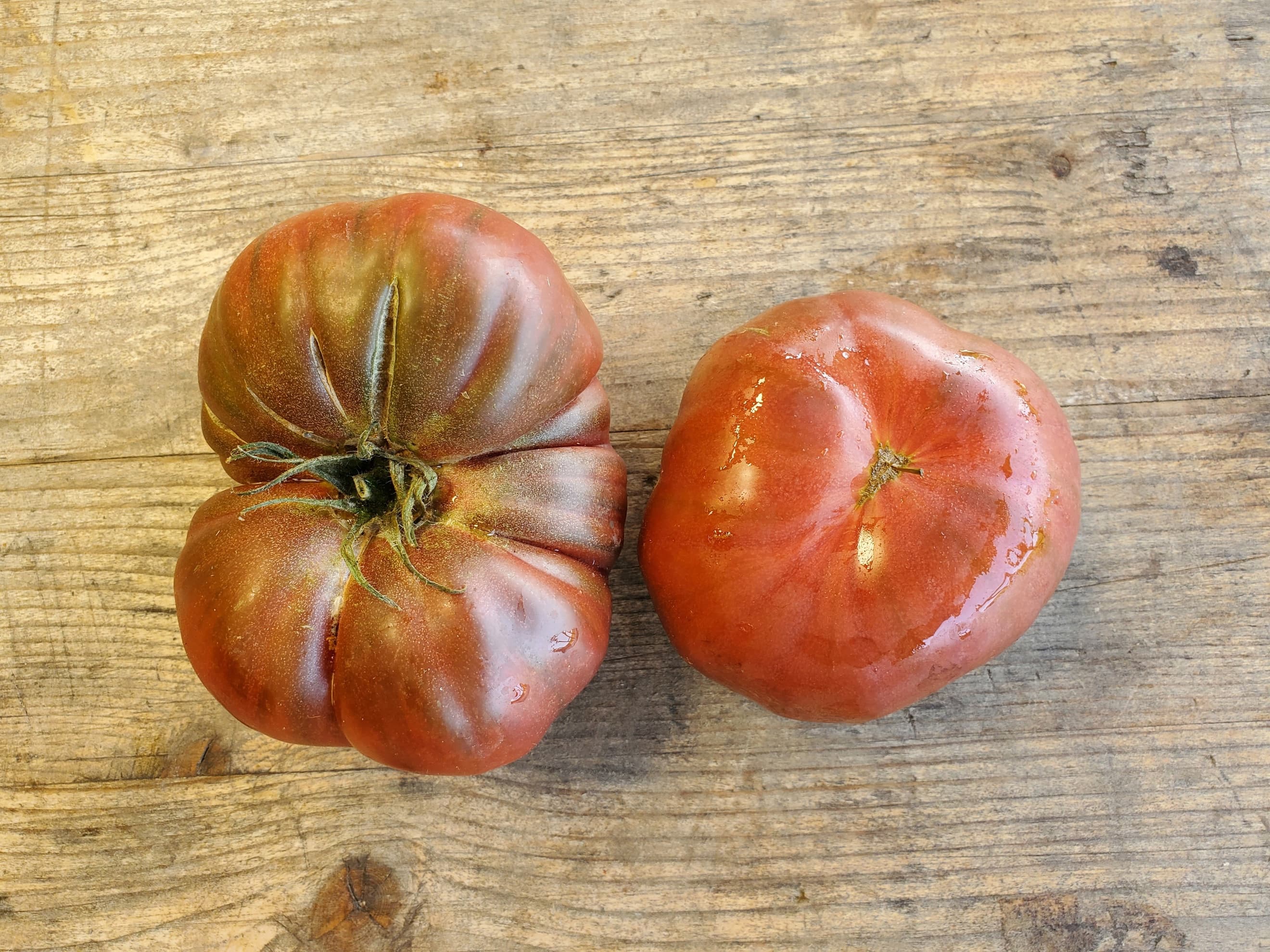 Tomatoes - beefsteak