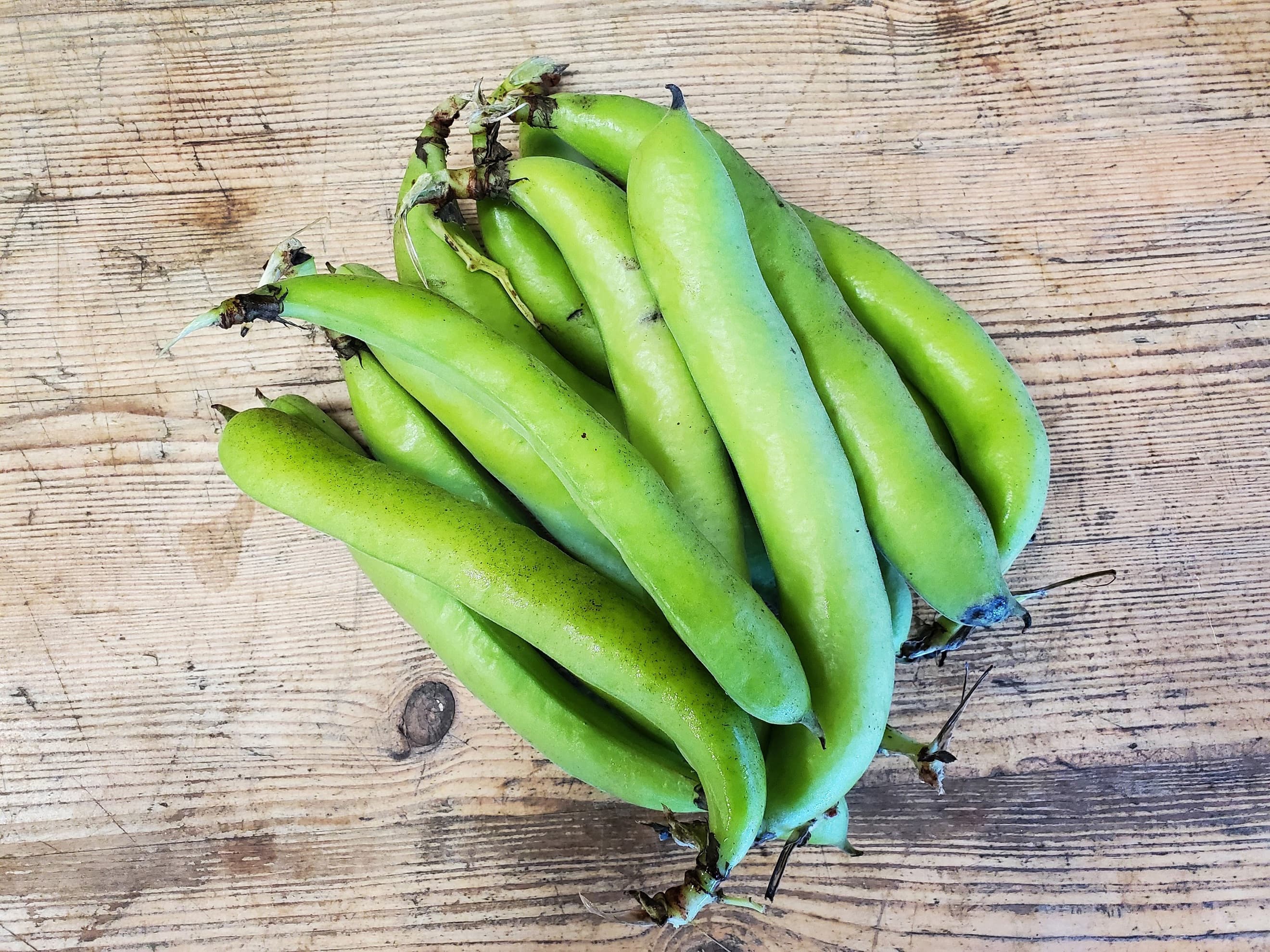 Beans - broad