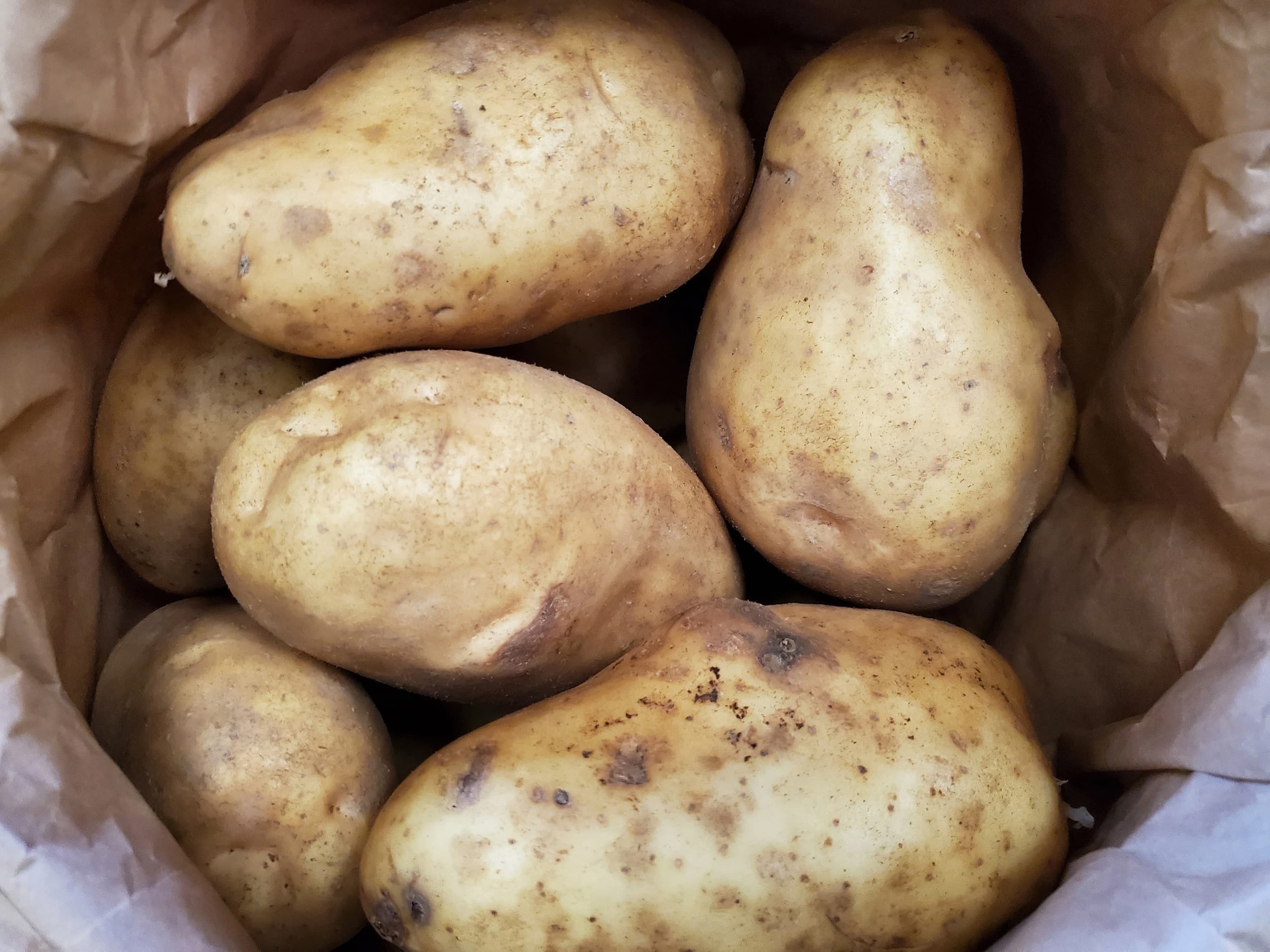 Potatoes - Bakers 5kg bag