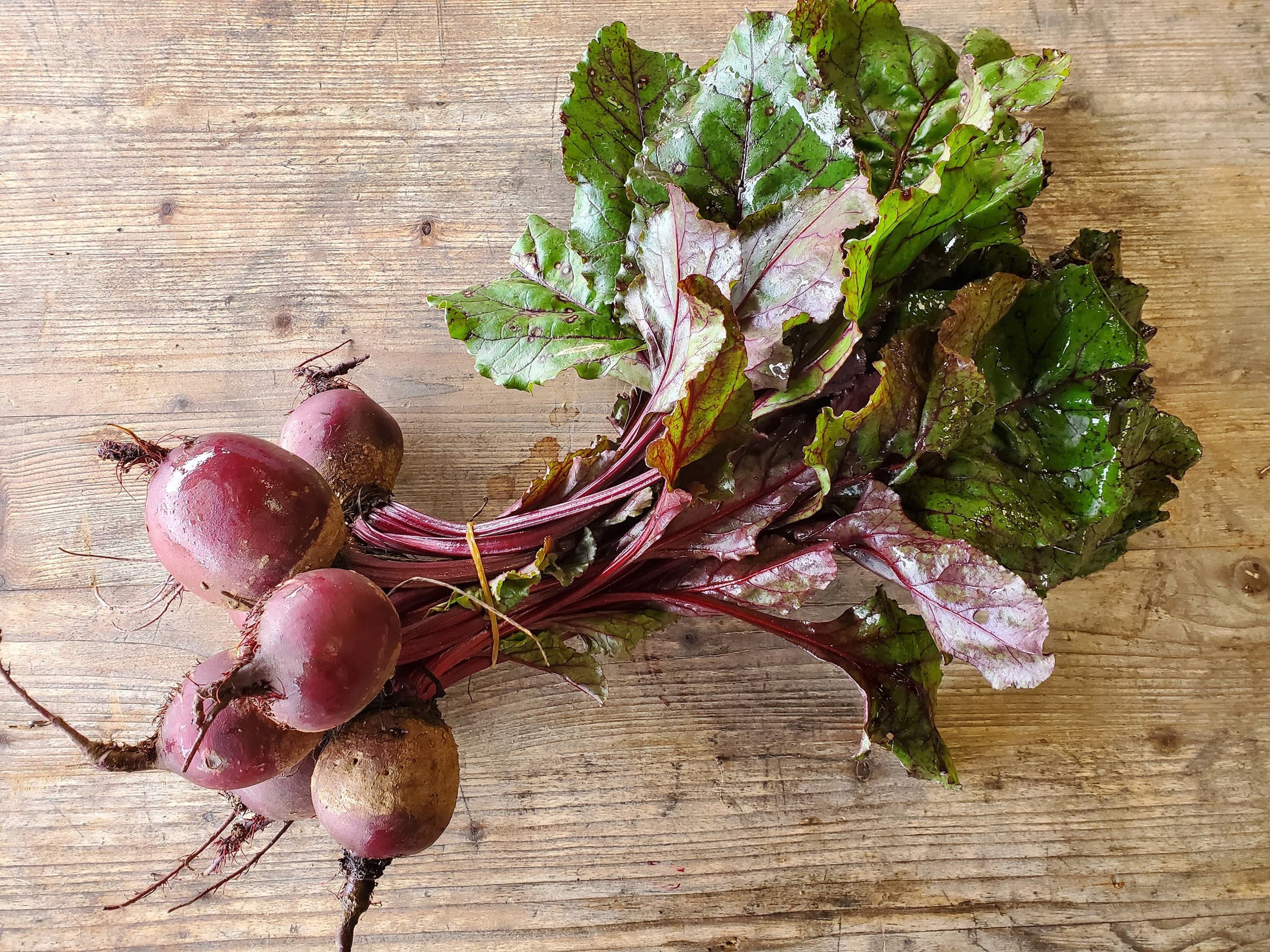 Beetroot - bunched
