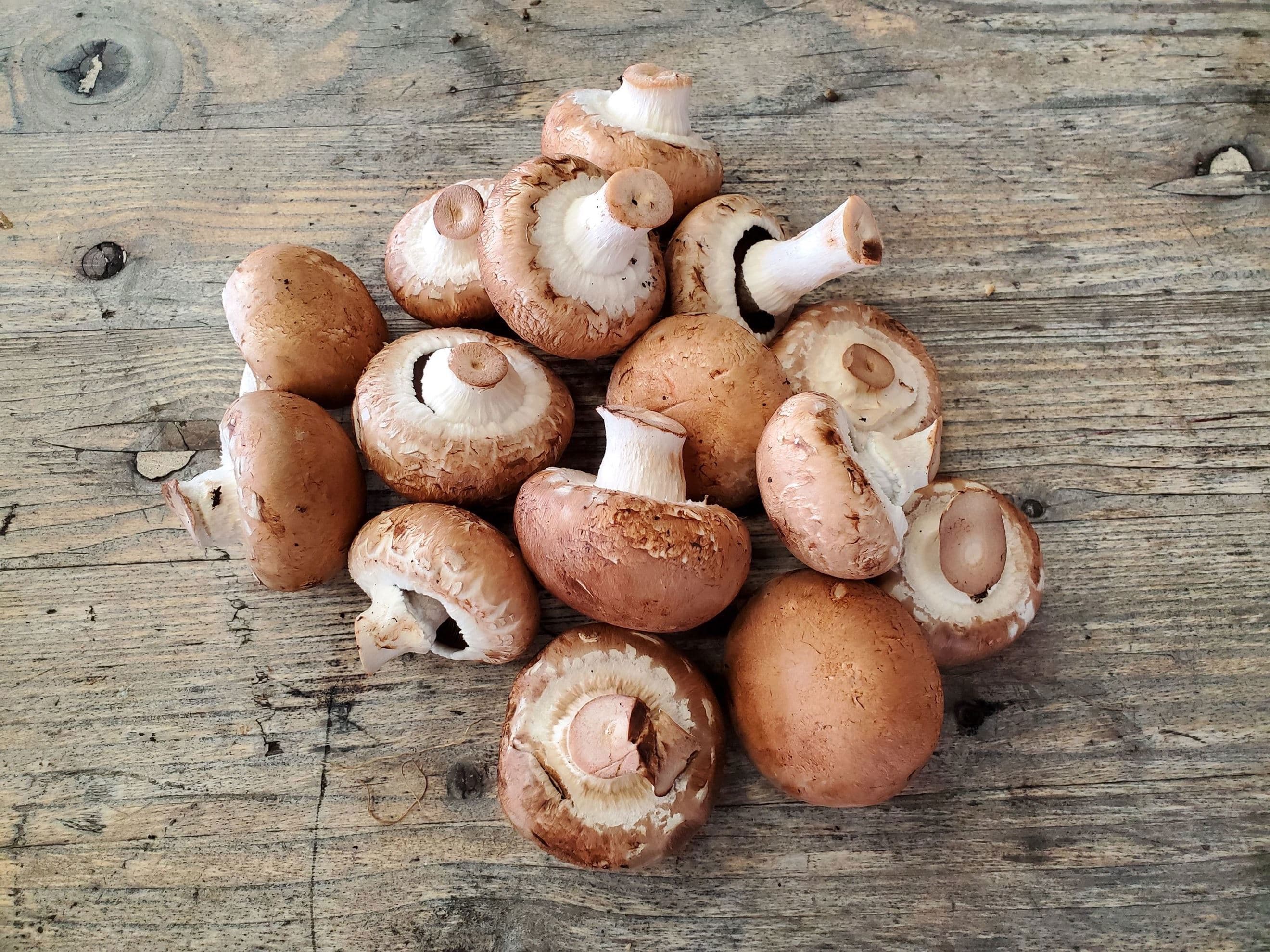 Mushrooms - chestnut