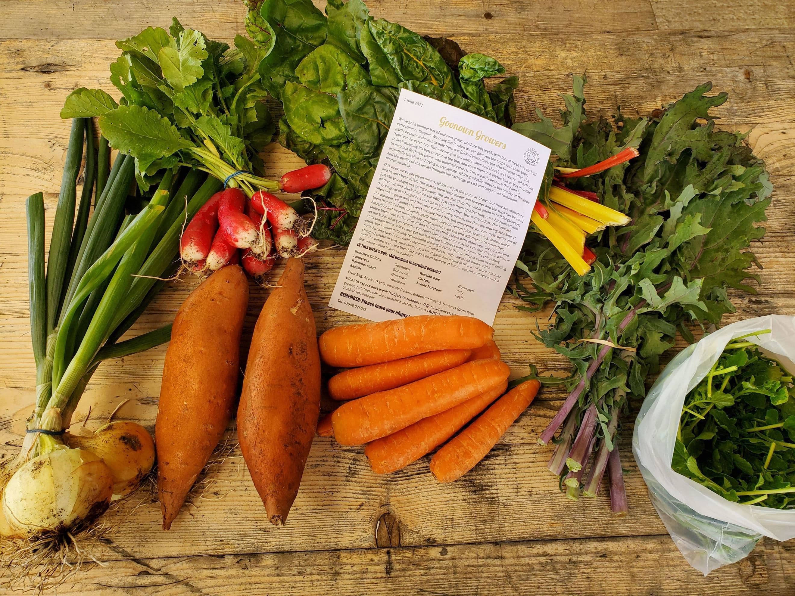 Standard Veg Box