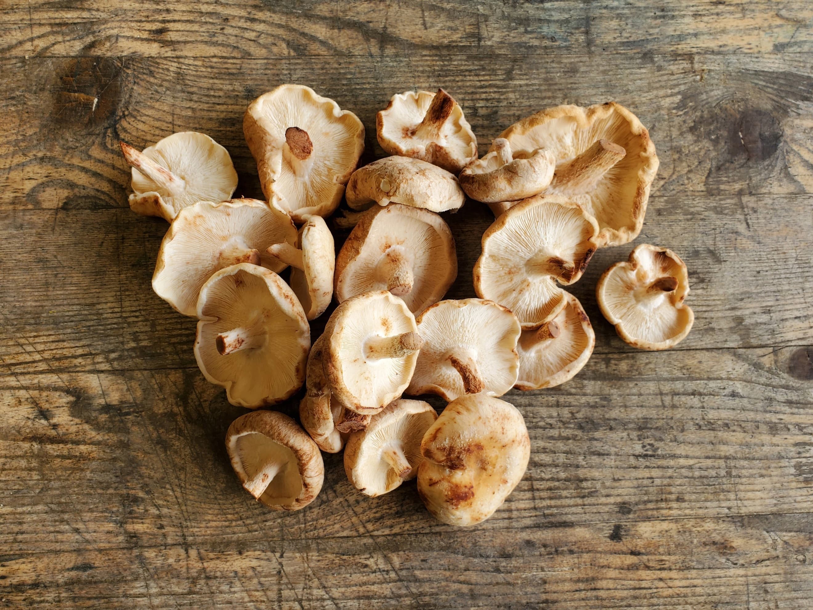 Mushrooms - shiitake