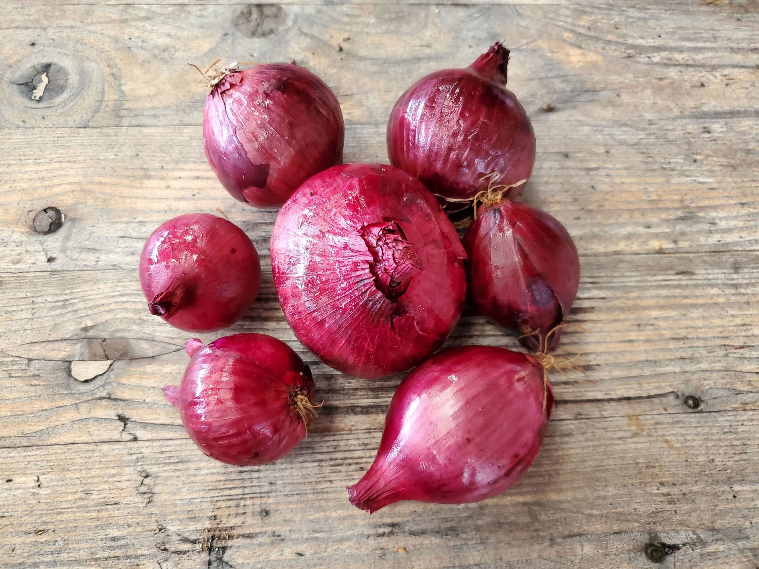 Onions - red