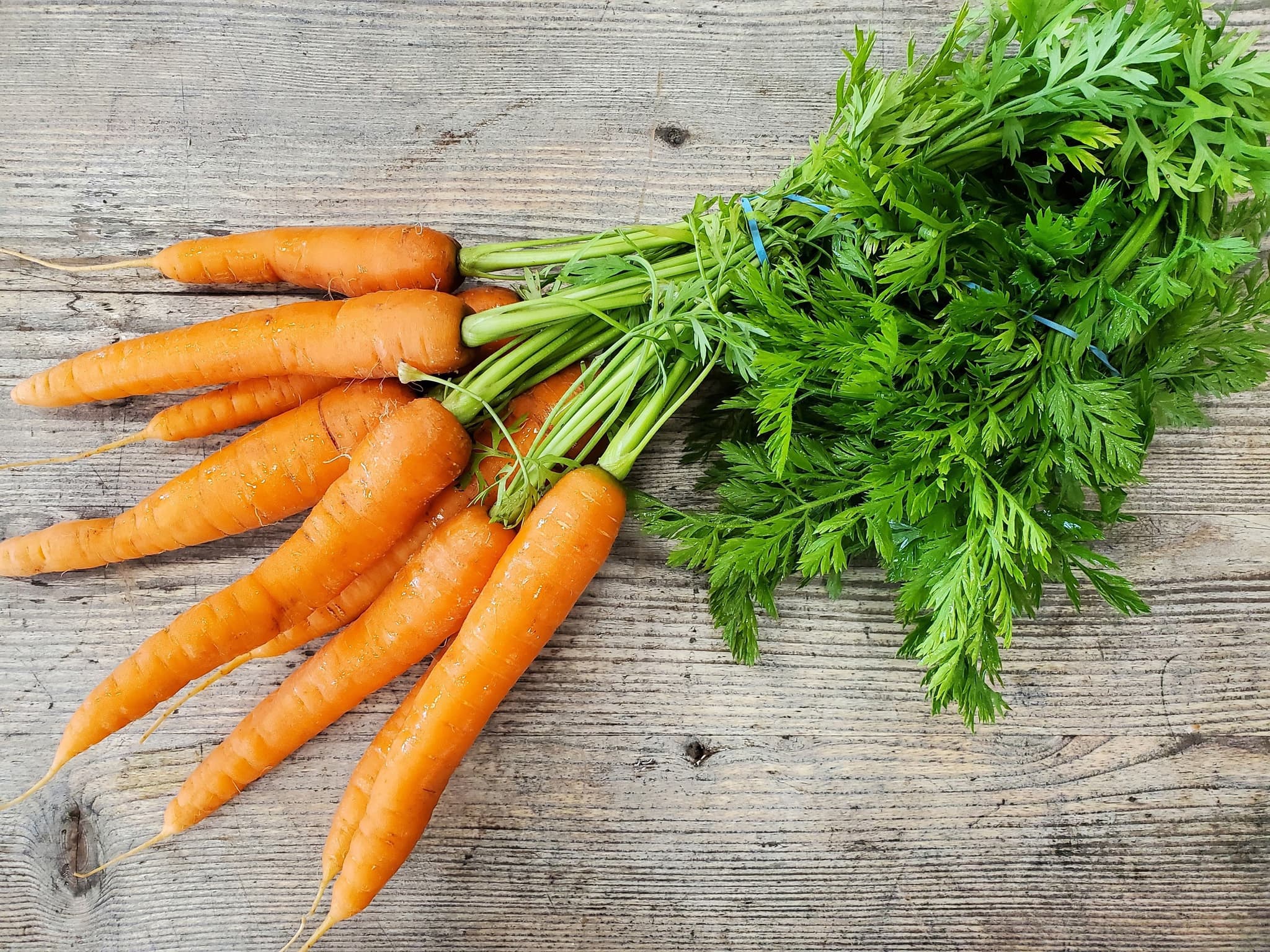 Carrots - bunched