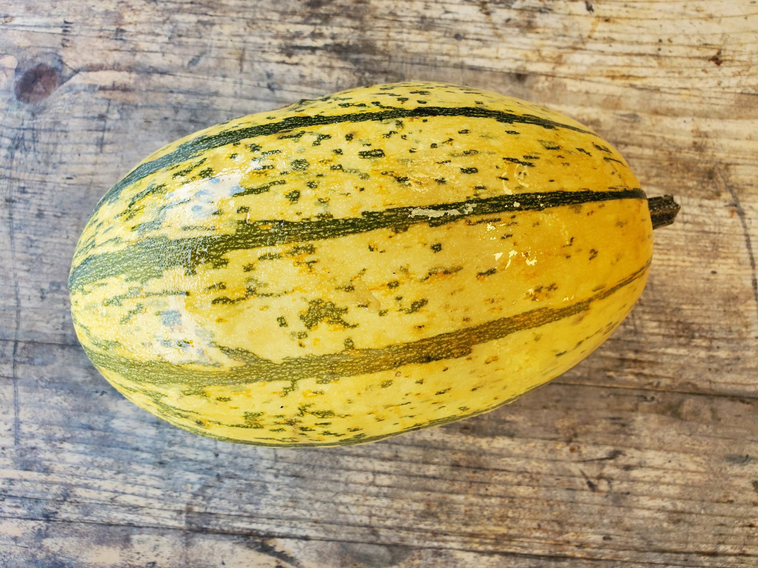 Squash - spaghetti (1 - 1.2g)