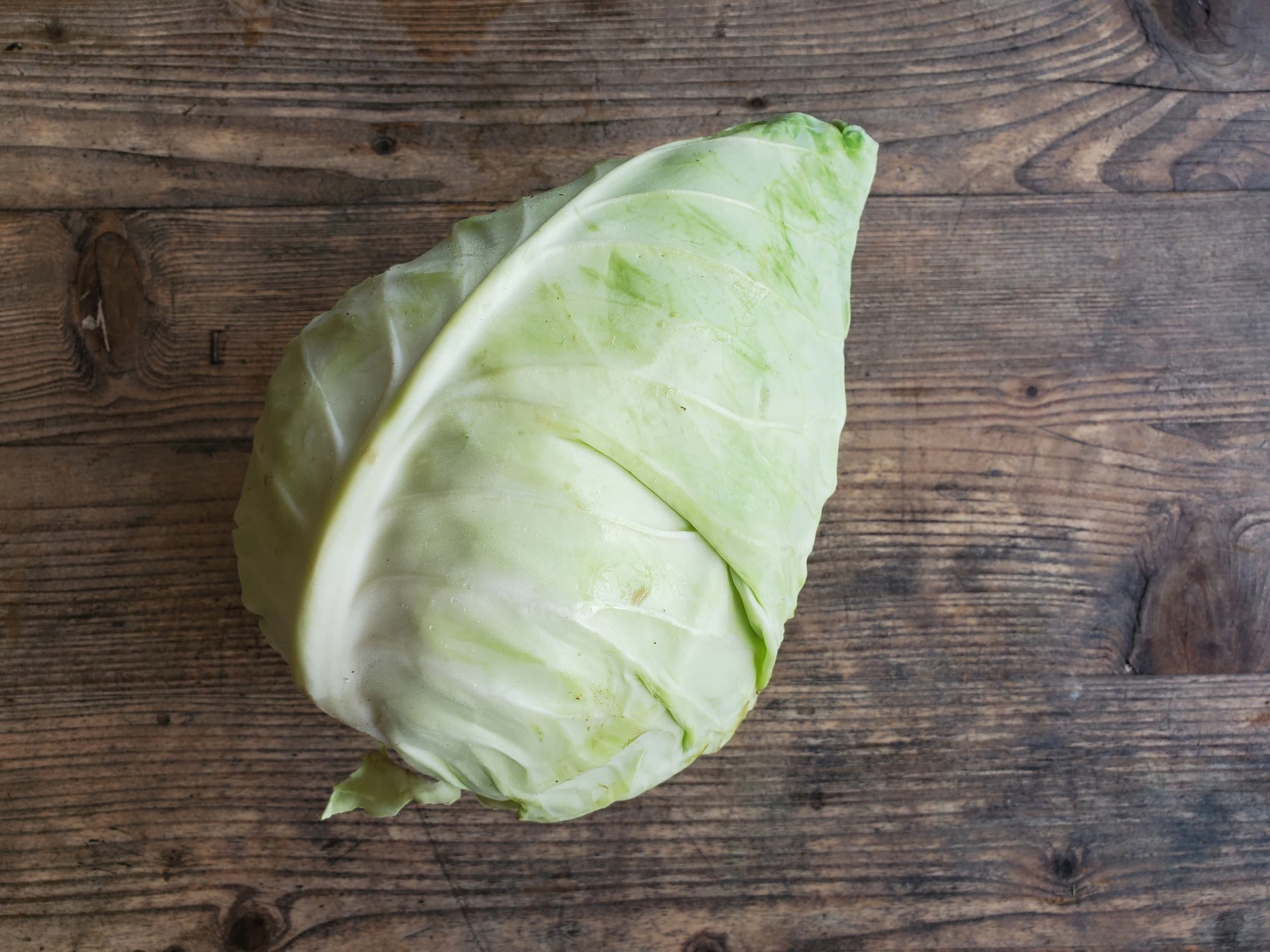 Cabbage - pointed