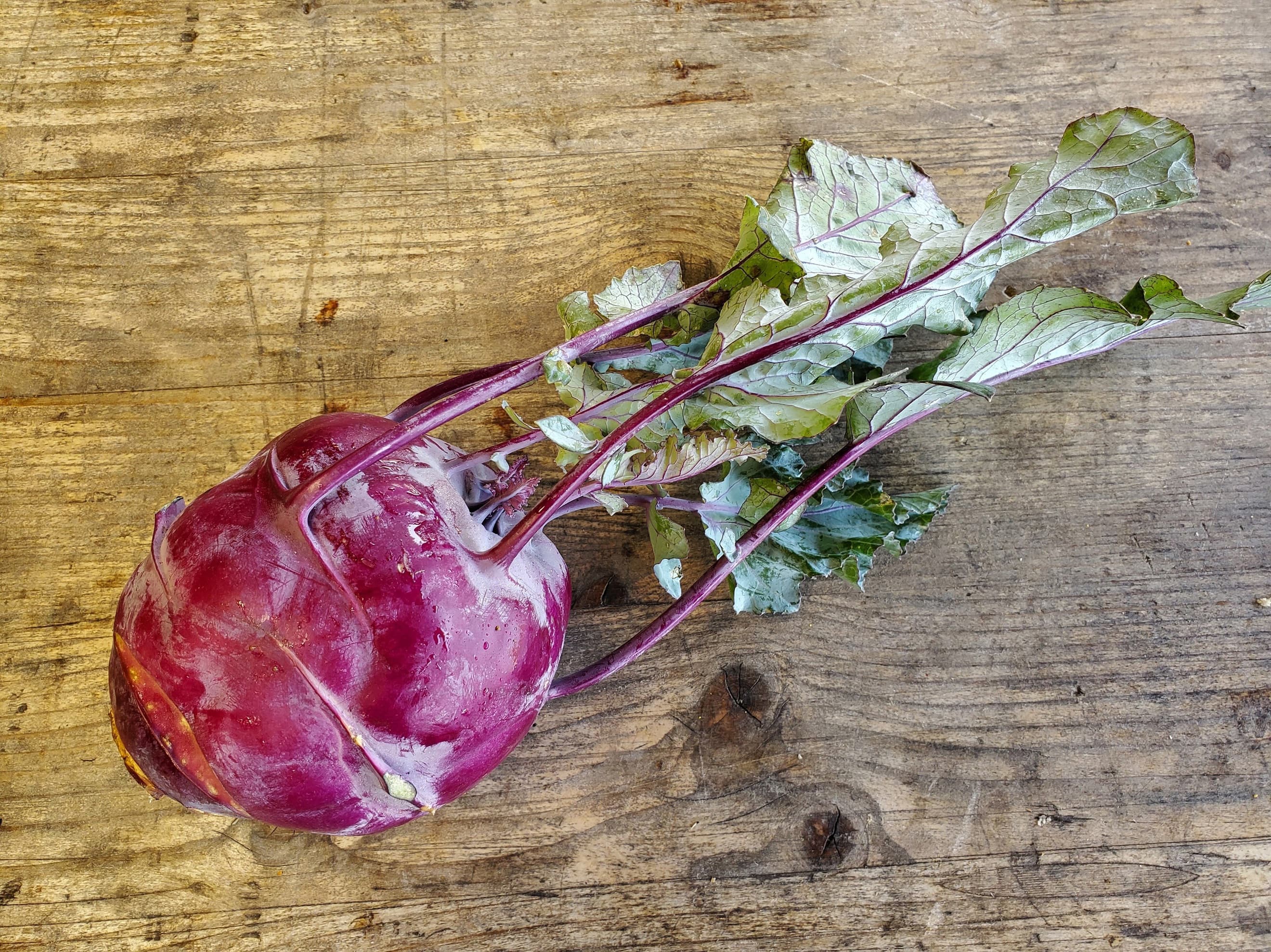 Kohl rabi