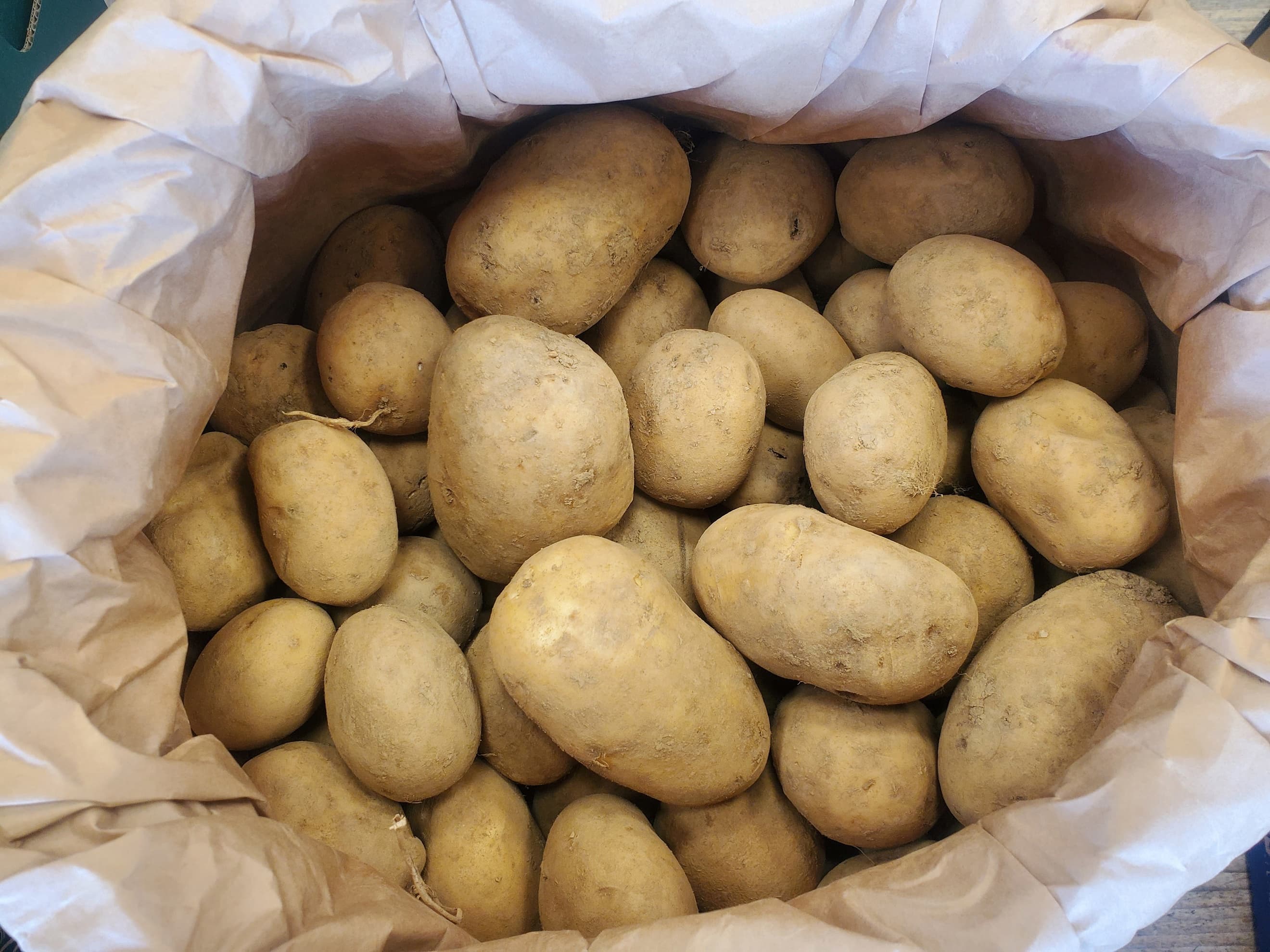 Potatoes - Gatsby 5kg bag