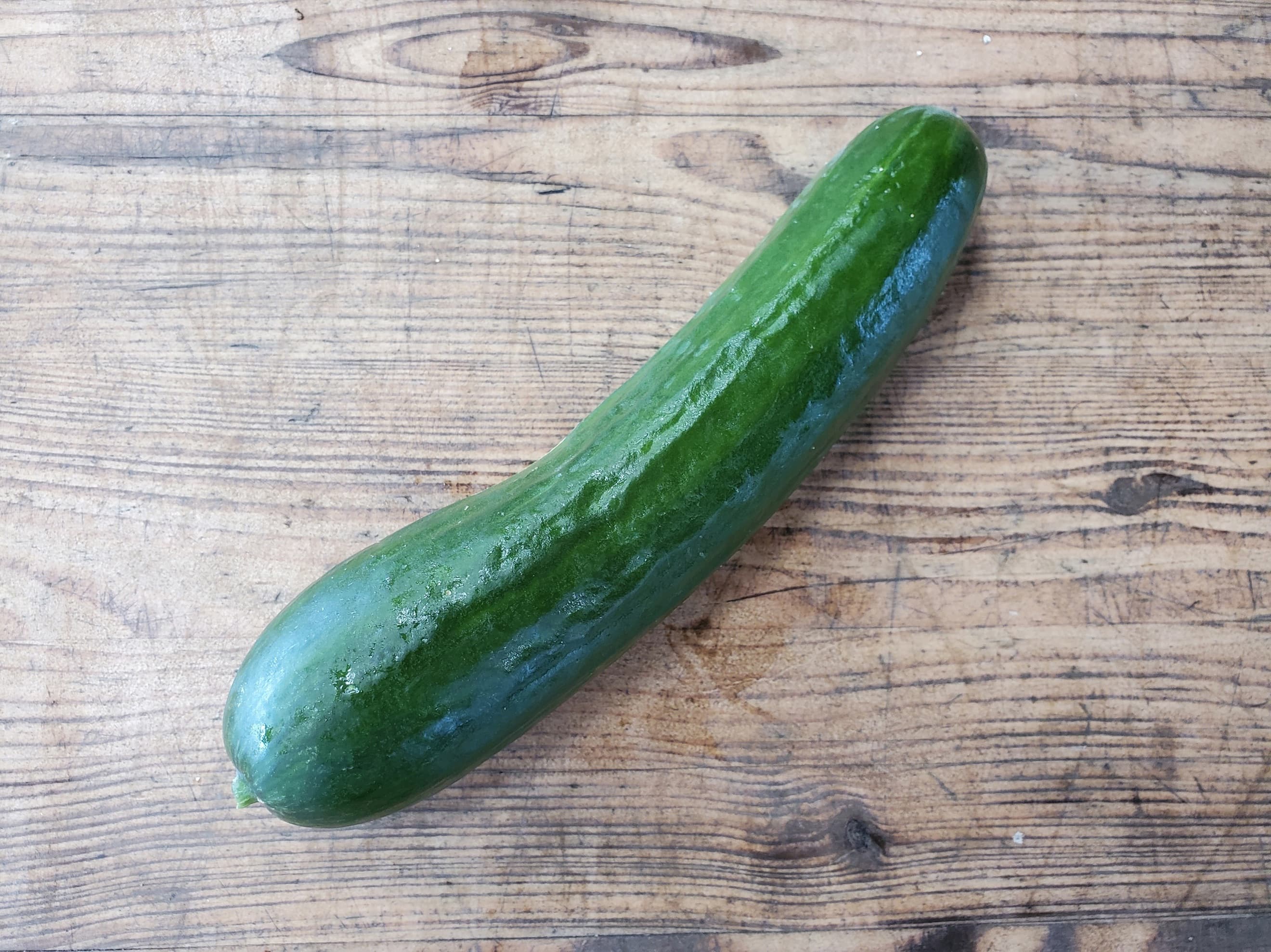 Cucumber - midi size