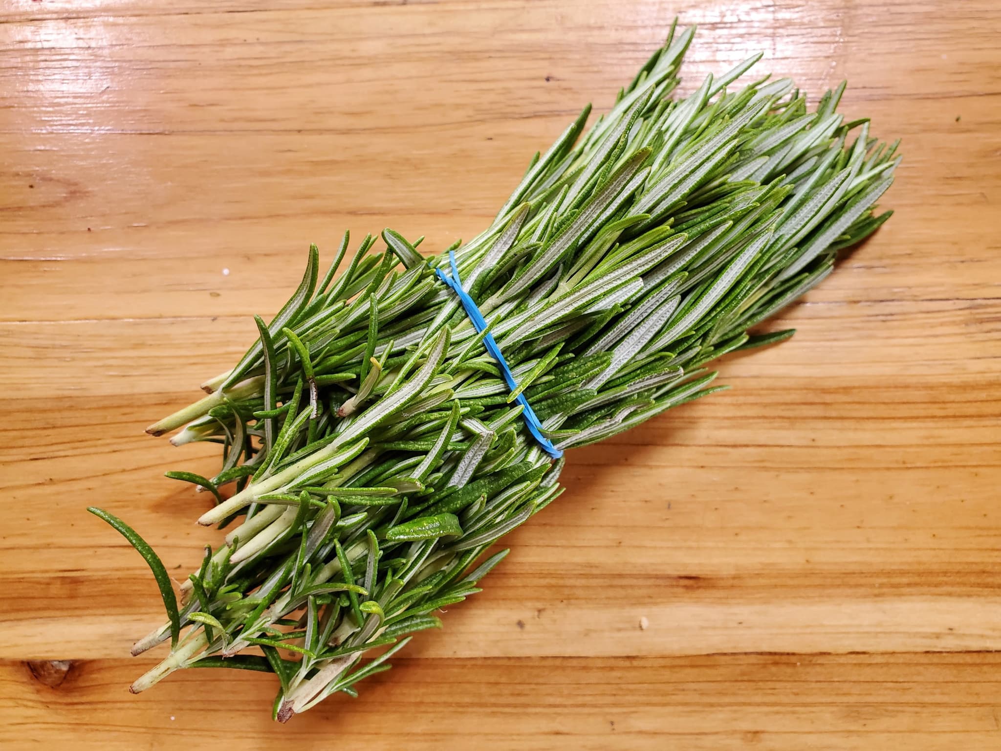 Rosemary