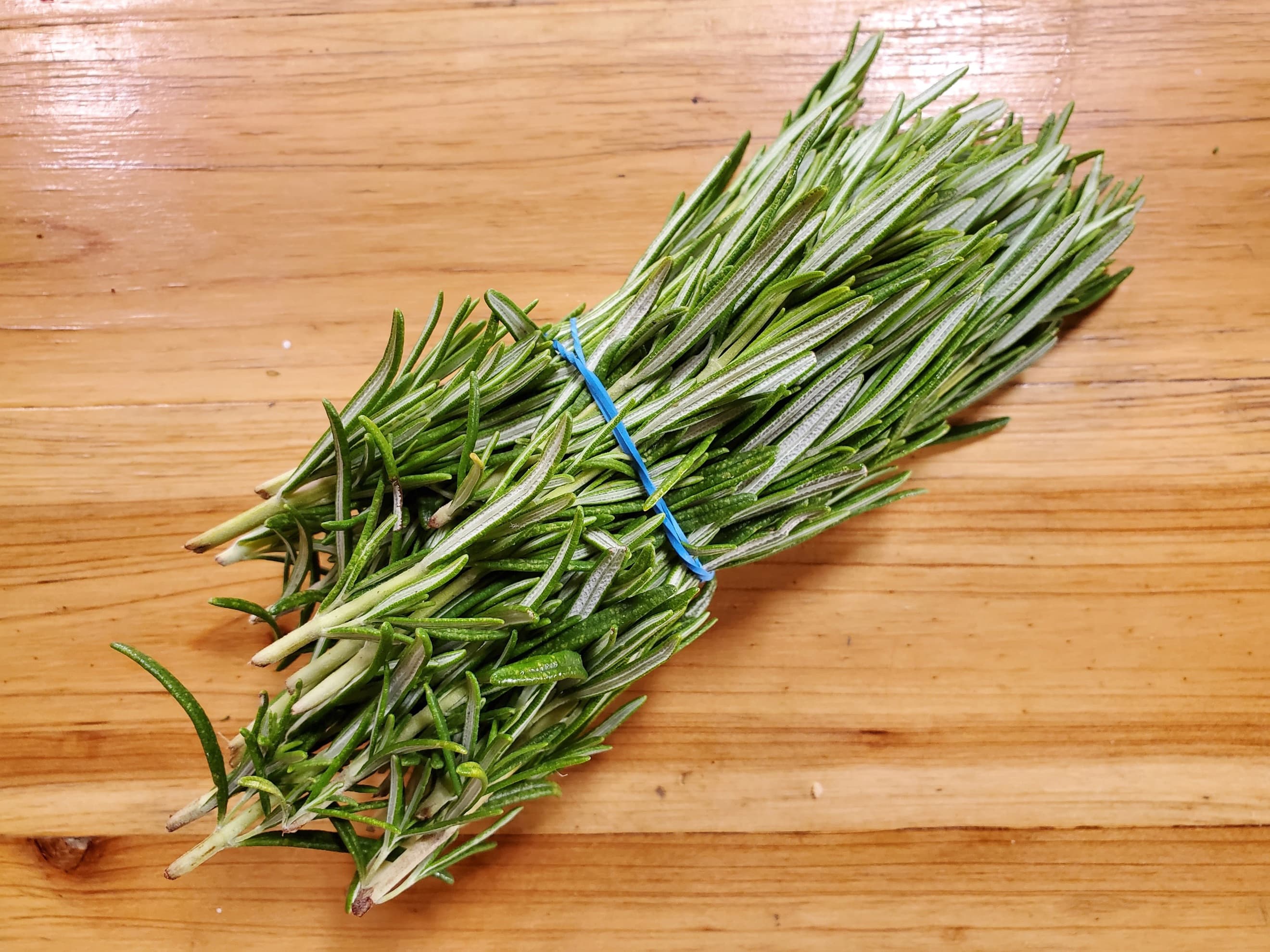 Rosemary