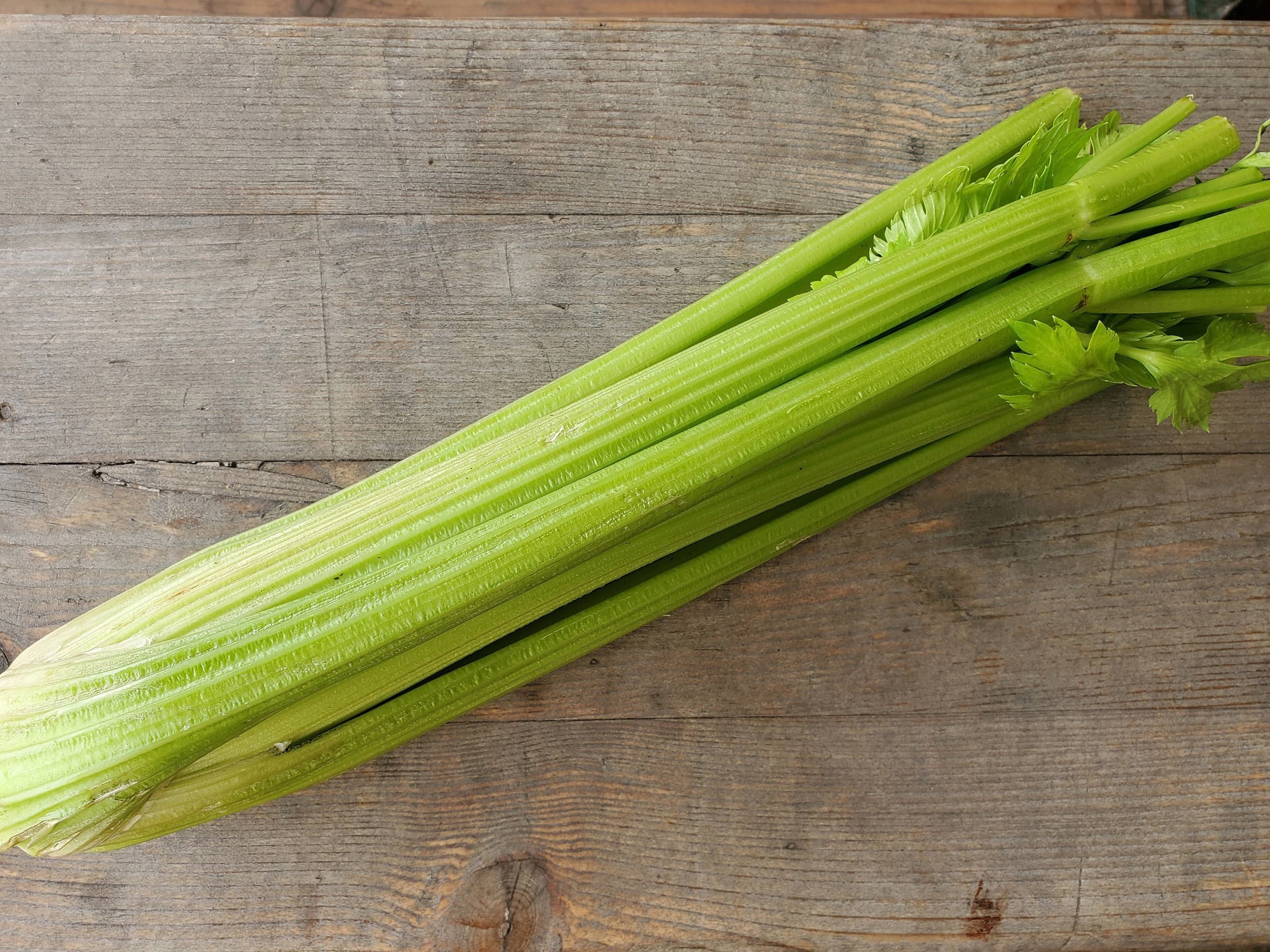 Celery